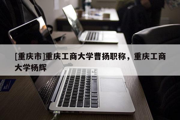 [重慶市]重慶工商大學曹揚職稱，重慶工商大學楊輝
